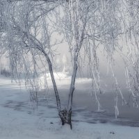 Занавес :: Марина Фомина.