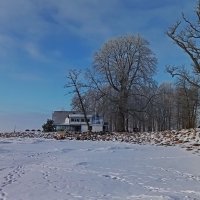 Зимний променад ... :: Татьян@ Ивановна