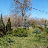 Март в ростовском зоопарке :: Нина Бутко