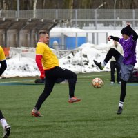 А мяч - то один. :: Наталья Вязигина