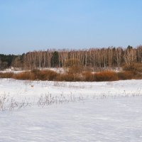 Весна в начале марта (репортаж из поездок по области). :: Милешкин Владимир Алексеевич 