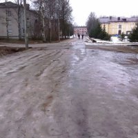 Правда  жизни. Дорога  в  магазин :: Фотогруппа Весна