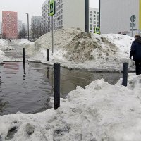 Март на пешеходном переходе :: Валерий Иванович