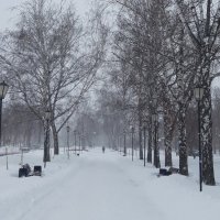 Первый день весны :: Венера Чуйкова