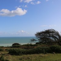 На берегу океана :: Ольга 