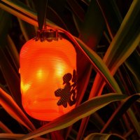 Китайский фонприк. :: Татьяна Помогалова