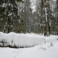 Поперёк грани. :: ВикТор Быстров