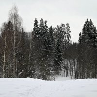 город наступает. :: ВикТор Быстров