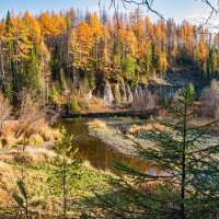 Октябрь на таёжной речке Доманик. Пгт. Шудаяг, окрестности Ухты, Коми :: Николай Зиновьев