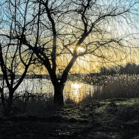 Весенний вечер. :: Владимир 