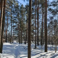 ЗИМА НЕ УХОДИТ2 :: ura Зелев