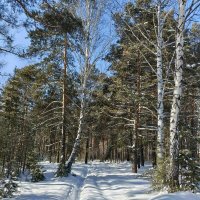 ЗИМА НЕ УХОДИТ5 :: ura Зелев