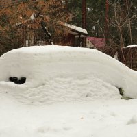 Появляется из - под снега :: Андрей Снегерёв
