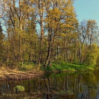 Майские фотозарисовки .. :: Татьян@ Ивановна