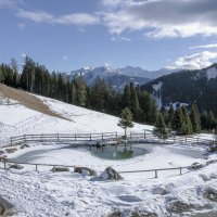 ** :: Александр Липовецкий