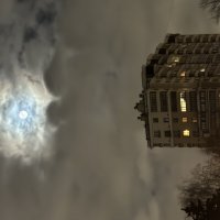 Сердце ночи  :: Анна Камс