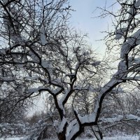 Застывшее в танце :: Мария - Maria