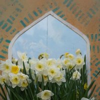 "Репетиция весны" в Аптекарском огороде :: Ольга 