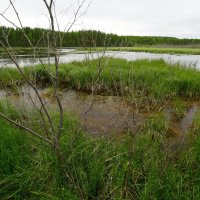 Уральские мотивы... :: Николай Гирш