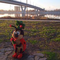 на набережной :: Елена Шаламова