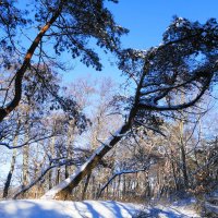 Февраль, побережье Балтийского моря, Калининградская область :: Рита Симонова