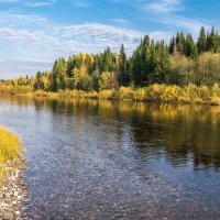 Золотая осень на перекате реки Ухта. Республика Коми. :: Николай Зиновьев
