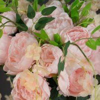 *** :: Екатерина Василькова