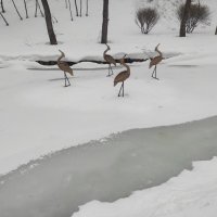 Танец в любой сезон :: Игорь Ч.