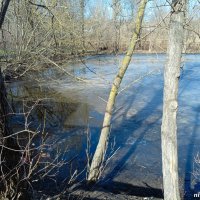 Март в ростовском зоопарке :: Нина Бутко