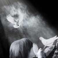 Научите нас нести мир и любовь :: liudmila drake