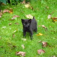 Маняшка маленькая :: Валюша Черкасова