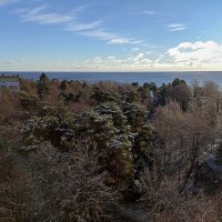 Лесопарк санатория "Северная Ривьера". :: Лилия *