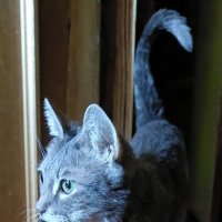 ... :: Галина R...