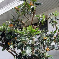 Барселона. :: Владимир Драгунский