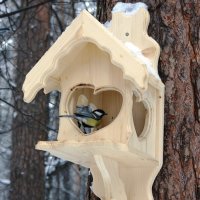 Домик для птиц :: Галина Нестратова