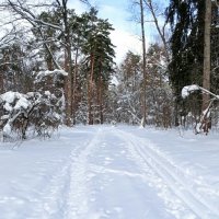 Февраль :: Милешкин Владимир Алексеевич 