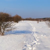 Весна в начале марта. :: Милешкин Владимир Алексеевич 