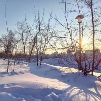 5 марта -20 °С :: Лариса С.