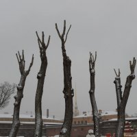 * :: Светлана Воробьева