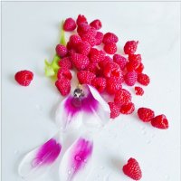 ВЕСЕННЕЕ... :: Elvira E. 