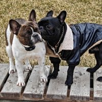 Ростовские зарисовки :: Александр Гапоненко