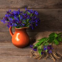 Васильки :: Владимир Гришин