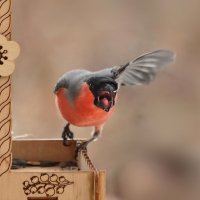 Поворачивай налево. :: Татьяна Бравая