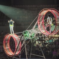 Мой город - ЦИРК :: Владимир Максимов