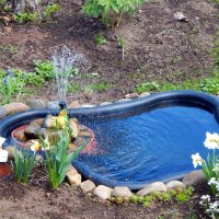 Прудик на даче. :: ВикТор Быстров