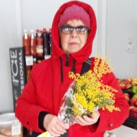 Мимозы :: Венера Чуйкова