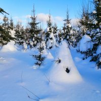 Причуды природы :: Сергей Ц