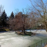 Март в ростовском зоопарке :: Нина Бутко