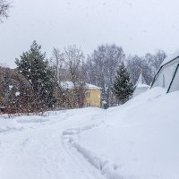 Утренний снегопад. :: Анатолий. Chesnavik.