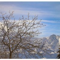 Ну не  Фудзияма, но Машук! :: Вячеслав Назаренко